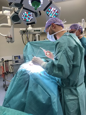 Darbs operāciju zālē, šujot pacienta brūci. Darbs operāciju zālē, šujot pacienta brūci.